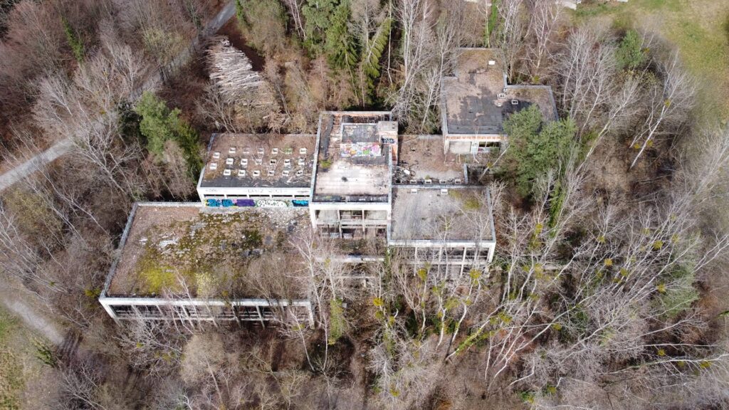 Wald 0597